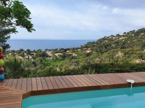 Nice house with beautiful sea views on the peninsula of Hyeres